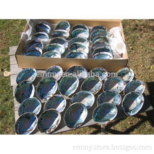 beauty green abalone/paua MOP shell supplier